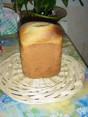 Recettes pour map home bread moulinex