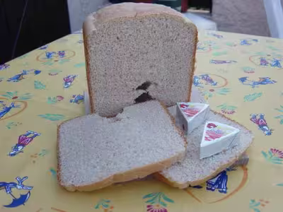 Recettes pour map home bread moulinex