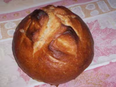 Pain sur poolish
