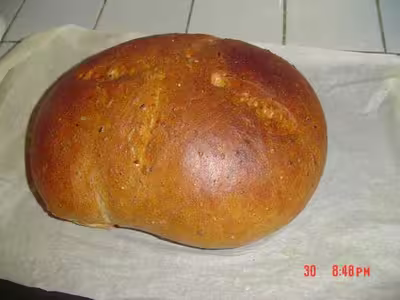 Levain fermentescible