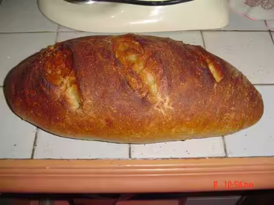 Levain fermentescible