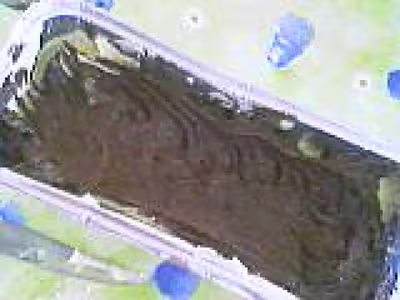 Gâteau marbré au chocolat